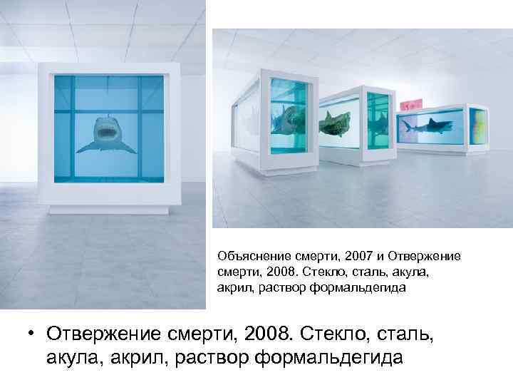 Объяснение смерти, 2007 и Отвержение смерти, 2008. Стекло, сталь, акула, акрил, раствор формальдегида •