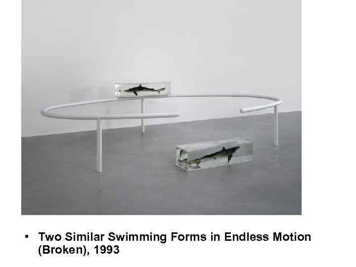  • Two Similar Swimming Forms in Endless Motion (Broken), 1993 