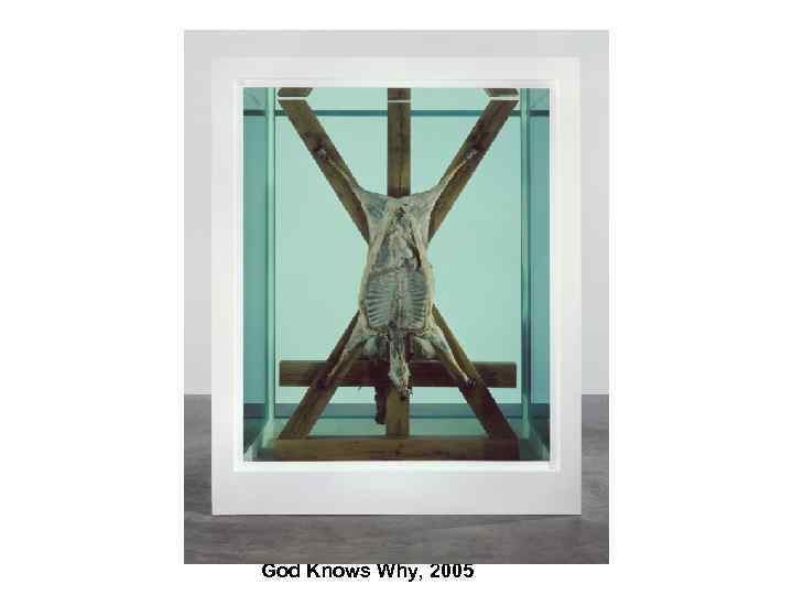 God Knows Why, 2005 