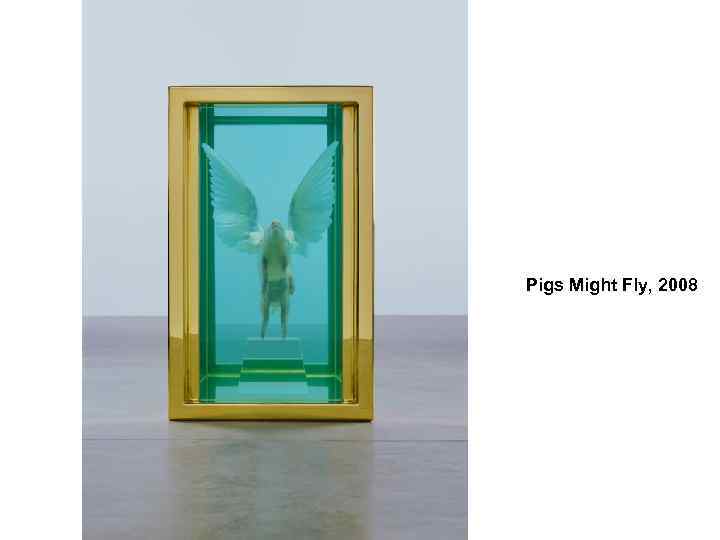 Pigs Might Fly, 2008 