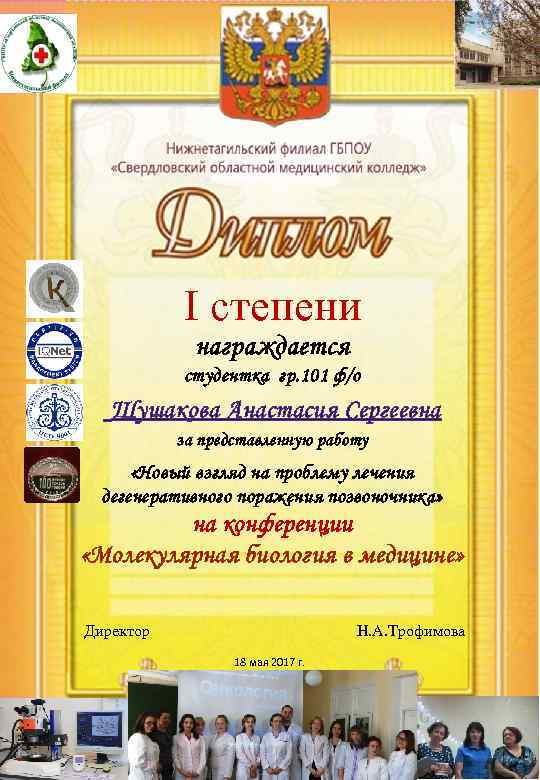 I степени награждается студентка гр. 101 ф/о Шушакова Анастасия Сергеевна за представленную работу «Новый