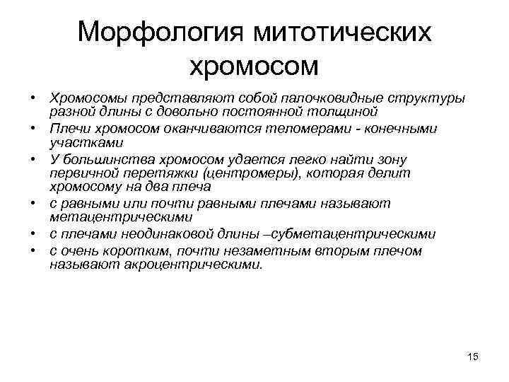 Морфология митотических хромосом • Хромосомы представляют собой палочковидные структуры разной длины с довольно постоянной