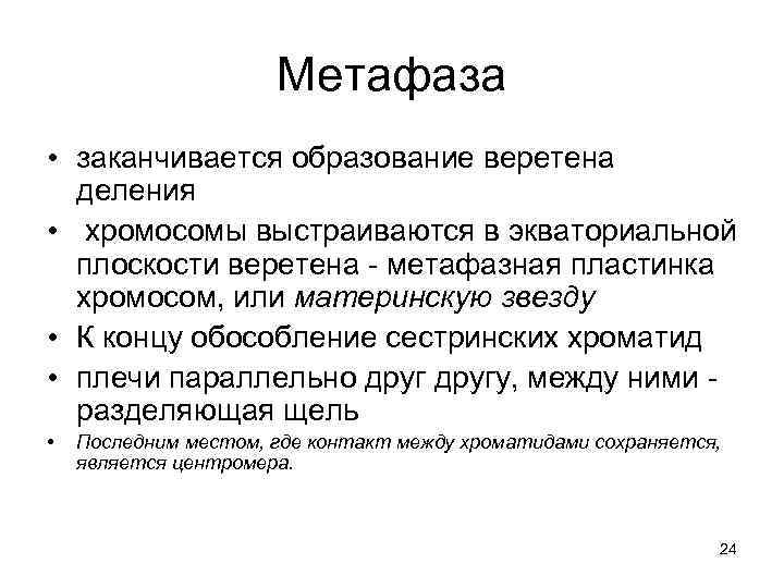 Метафаза • заканчивается образование веретена деления • хромосомы выстраиваются в экваториальной плоскости веретена -