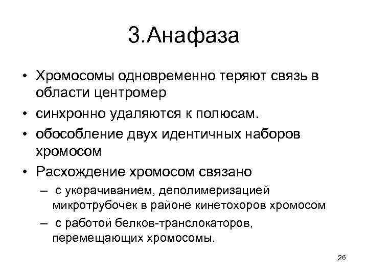 3. Анафаза • Хромосомы одновременно теряют связь в области центромер • синхронно удаляются к