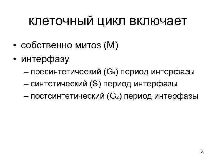 клеточный цикл включает • собственно митоз (М) • интерфазу – пресинтетический (G 1) период