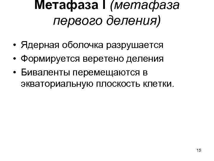 Метафаза I (метафаза первого деления) • Ядерная оболочка разрушается • Формируется веретено деления •