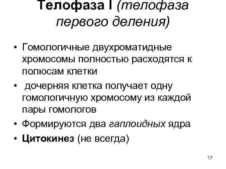 Телофаза I (телофаза первого деления) • Гомологичные двухроматидные хромосомы полностью расходятся к полюсам клетки