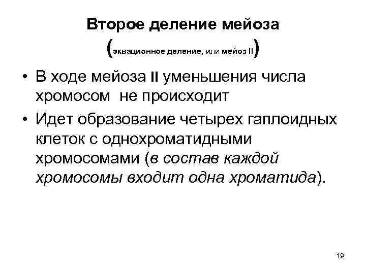 Второе деление мейоза ( эквационное деление, или мейоз II ) • В ходе мейоза