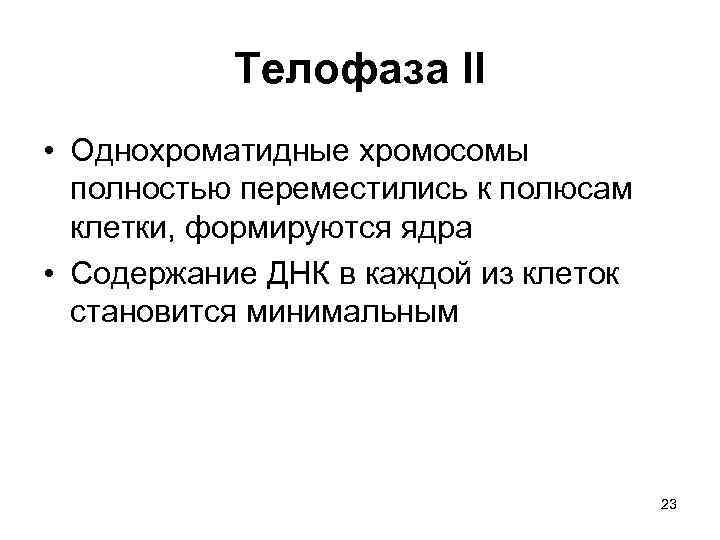Телофаза II • Однохроматидные хромосомы полностью переместились к полюсам клетки, формируются ядра • Содержание