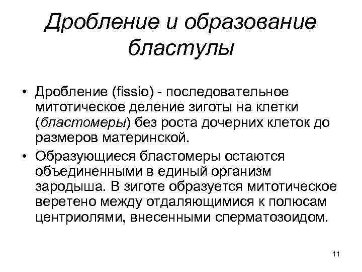 Дробление и образование бластулы • Дробление (fissio) - последовательное митотическое деление зиготы на клетки