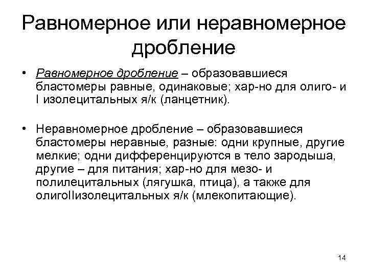 Равномерное или неравномерное дробление • Равномерное дробление – образовавшиеся бластомеры равные, одинаковые; хар-но для