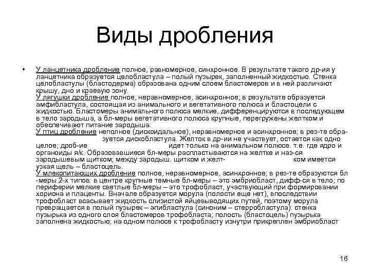 Виды дробления • У ланцетника дробление полное, равномерное, синхронное. В результате такого др-ия у