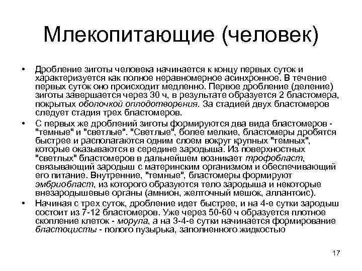 Млекопитающие (человек) • • • Дробление зиготы человека начинается к концу первых суток и