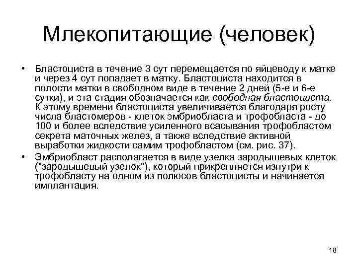 Млекопитающие (человек) • Бластоциста в течение 3 сут перемещается по яйцеводу к матке и