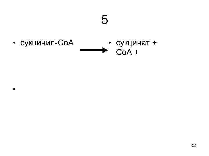 5 • сукцинил-Co. A • сукцинат + Co. A + • 34 