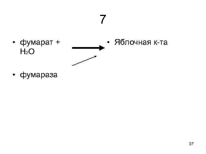 7 • фумарат + H 2 O • Яблочная к-та • фумараза 37 