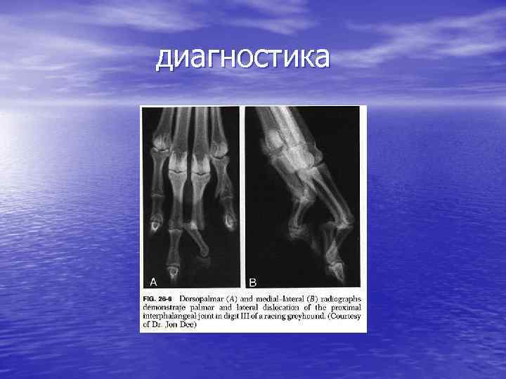 диагностика 