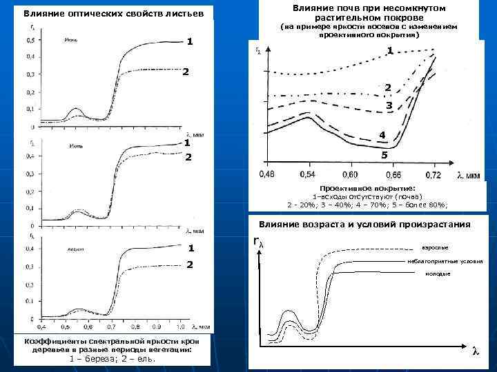 Влияние почв при несомкнутом растительном покрове Влияние оптических свойств листьев (на примере яркости посевов
