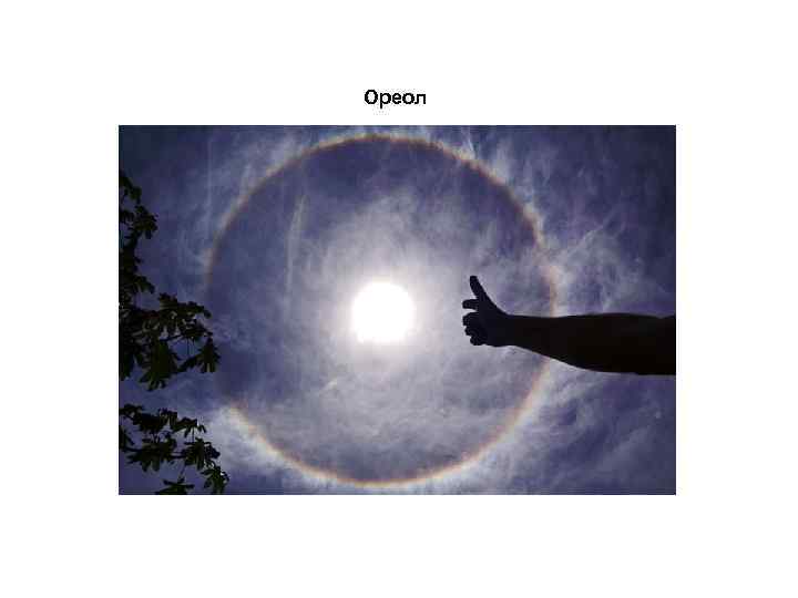 Ореол 