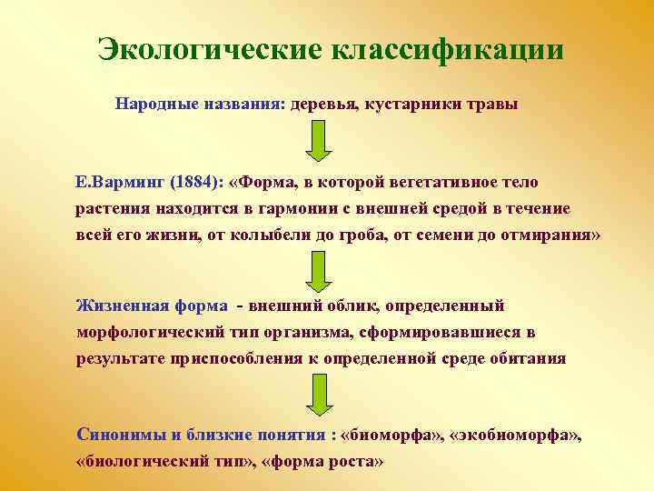 Экологические классификации Народные названия: деревья, кустарники травы Е. Варминг (1884): «Форма, в которой вегетативное