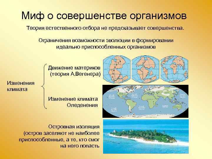 Миф о совершенстве организмов Теория естественного отбора не предсказывает совершенства. Ограничения возможности эволюции в