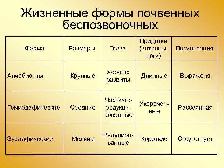 Жизненные формы почвенных беспозвоночных Форма Размеры Глаза Атмобионты Крупные Хорошо развиты Придатки (антенны, Пигментация