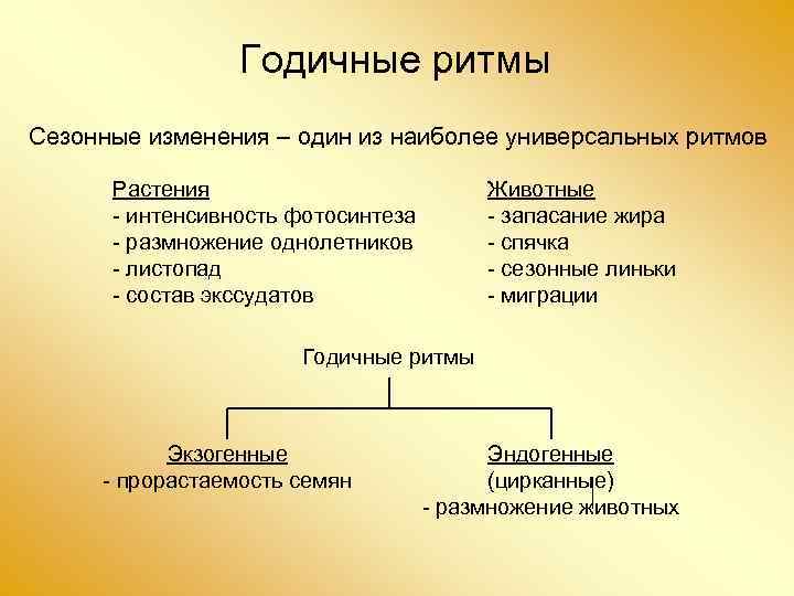 Годичные ритмы Сезонные изменения – один из наиболее универсальных ритмов Растения - интенсивность фотосинтеза
