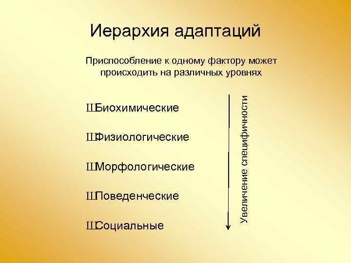 Иерархия адаптаций Ш Биохимические Ш Физиологические Ш Морфологические Ш Поведенческие Ш Социальные Увеличение специфичности