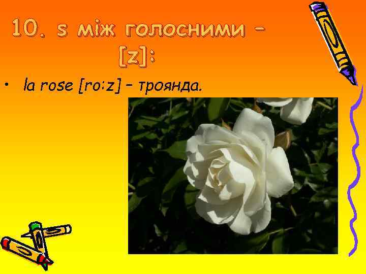 10. s між голосними – [z]: • la rose [ro: z] – троянда. 