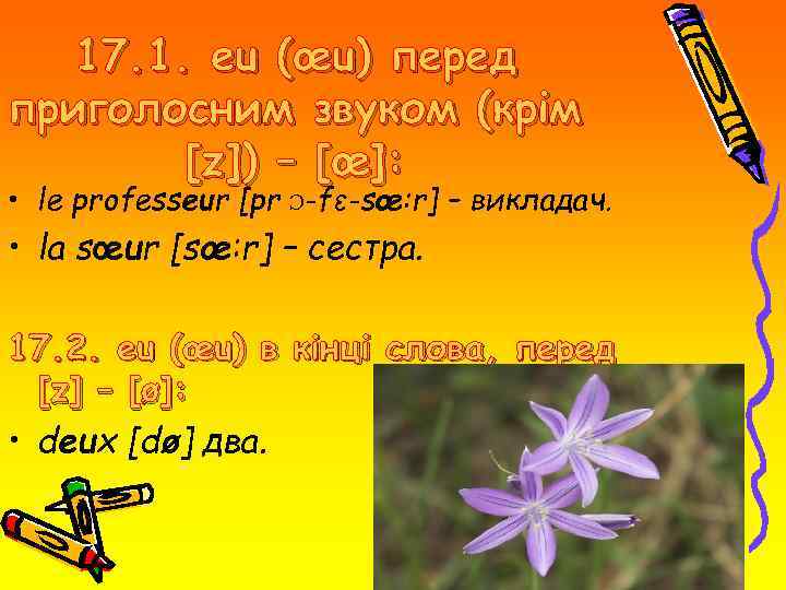 17. 1. eu (œu) перед приголосним звуком (крім [z]) – [œ]: • le professeur