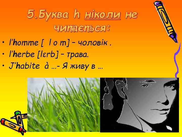 5. Буква h ніколи не читається: • l′homme [ l o m] – чоловік.