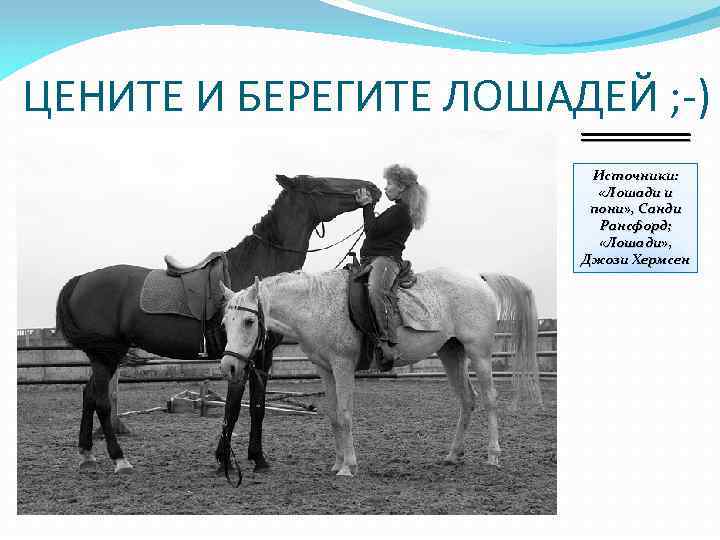 ЦЕНИТЕ И БЕРЕГИТЕ ЛОШАДЕЙ ; -) ______ Источники: «Лошади и пони» , Санди Рансфорд;