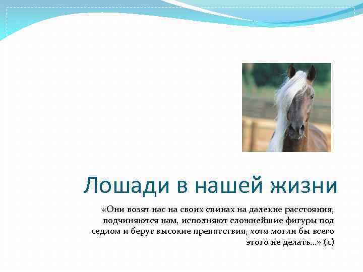 Лошади в нашей жизни «Они возят нас на своих спинах на далекие расстояния, подчиняются