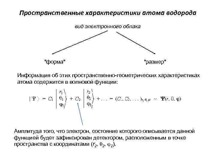 Пространственные характеристики атома водорода вид электронного облака 