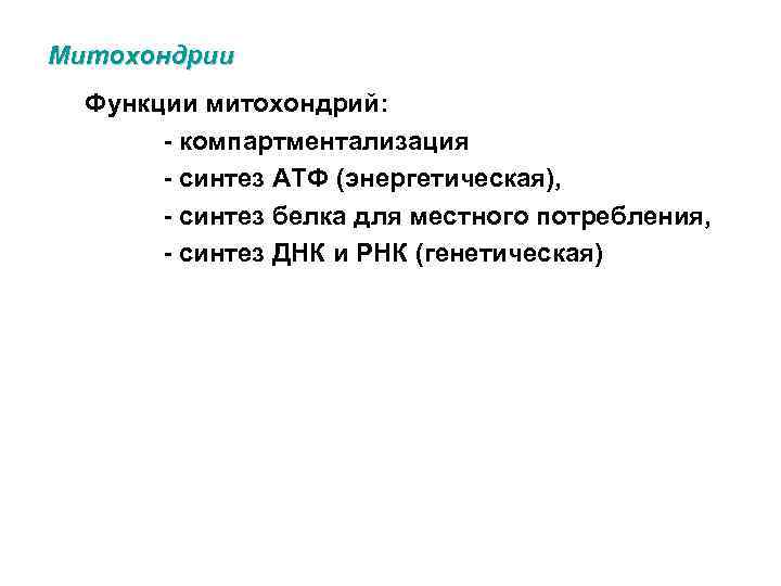 Митохондрии Функции митохондрий: - компартментализация - синтез АТФ (энергетическая), - синтез белка для местного