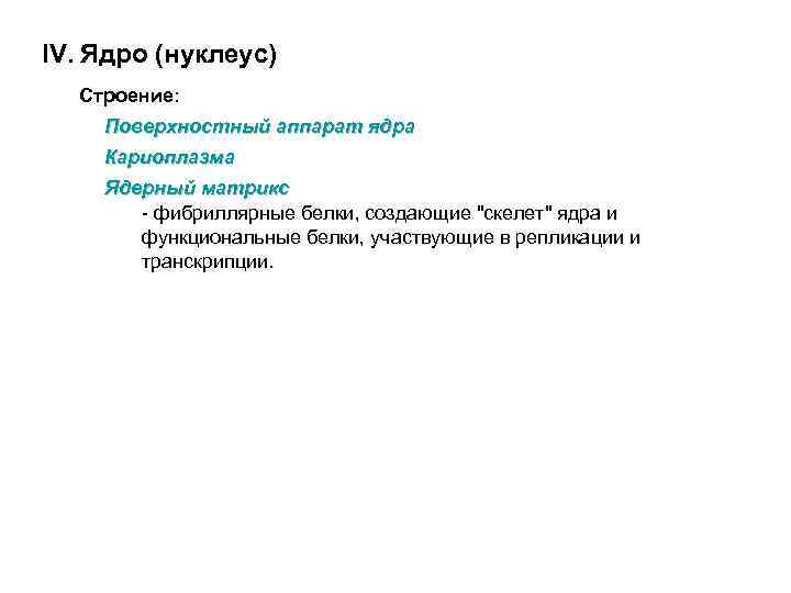 IV. Ядро (нуклеус) Строение: Поверхностный аппарат ядра Кариоплазма Ядерный матрикс - фибриллярные белки, создающие