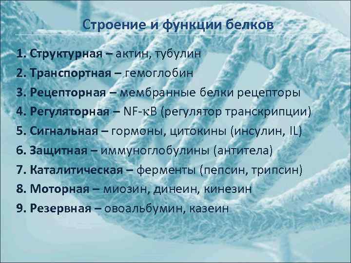 Строение и функции белков 1. Структурная – актин, тубулин 2. Транспортная – гемоглобин 3.