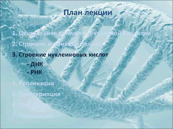 План лекции 1. Центральная догма молекулярной биологии 2. Строение и функции белков 3. Строение