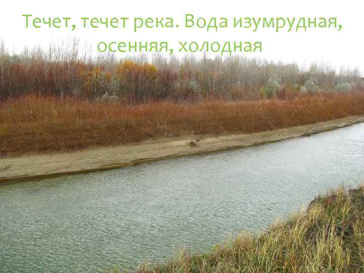 Течет, течет река. Вода изумрудная, осенняя, холодная. 