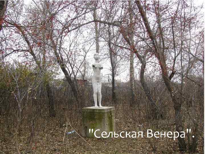 "Сельская Венера". 