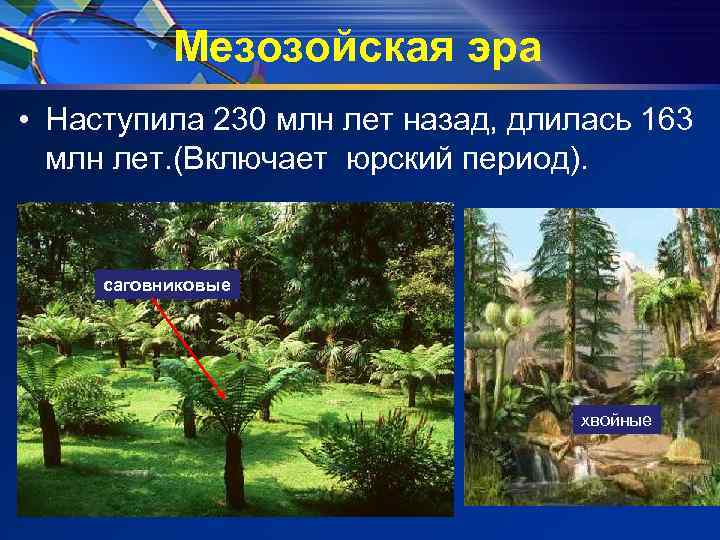 Мезозойская эра • Наступила 230 млн лет назад, длилась 163 млн лет. (Включает юрский