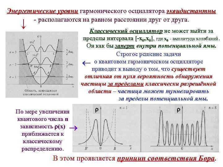 На каком из предложенных рисунков изображен энергетический спектр квантового линейного осциллятора