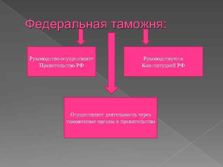 Федеральная таможня: Руководство осуществляет Правительство РФ Руководствуется Конституцией РФ Осуществляет деятельность через таможенные органы