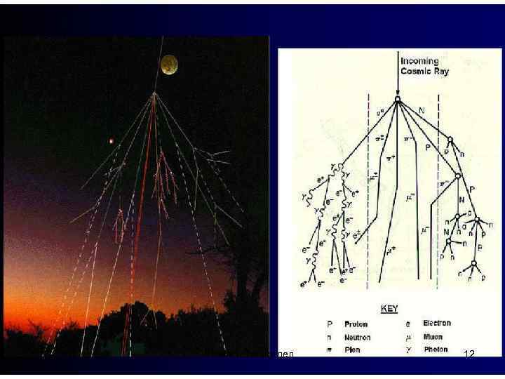 2/17/2018 ФИАН, Теоротдел 12 