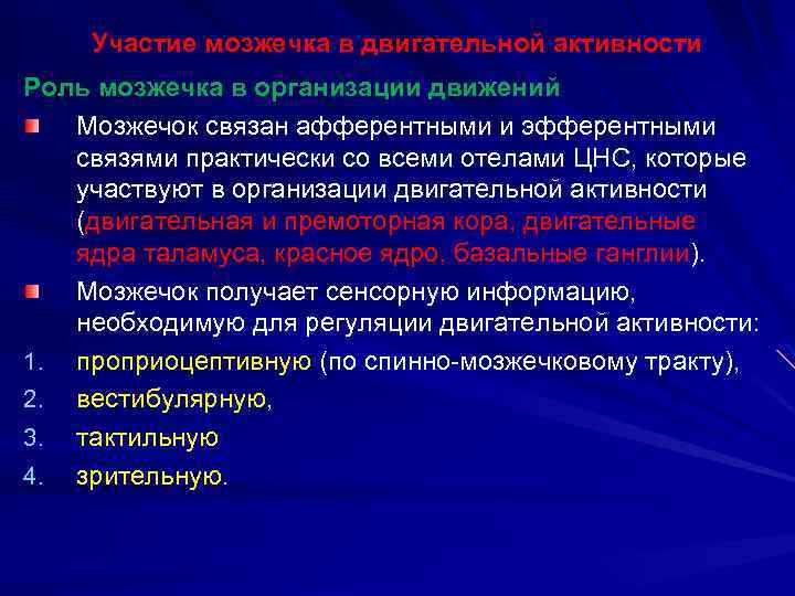 Травма мозжечка может привести к нарушению. Роль мозжечка в регуляции двигательной активности. Участие мозжечка в регуляции движений. Роль мозжечка в организации движений. Участие мозжечка в организации двигательных программ.