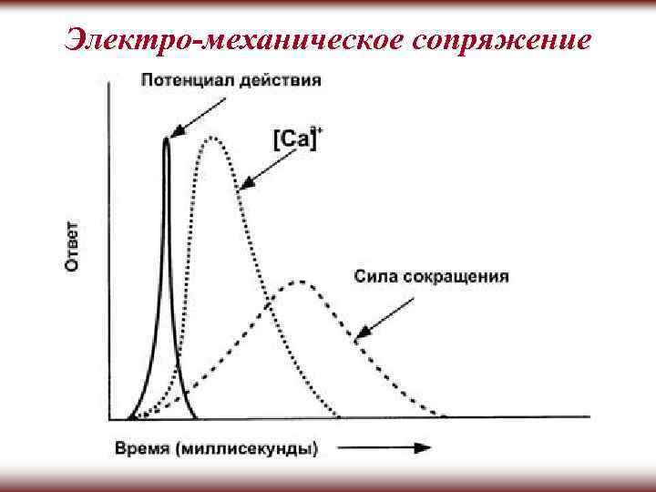 Электро-механическое сопряжение 