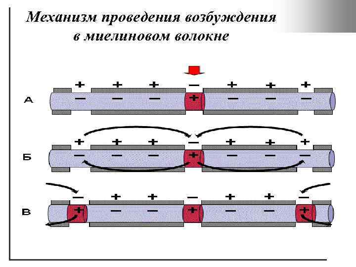 Механизм проведения