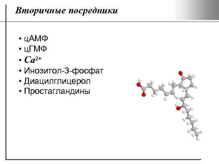 Вторичные посредники • ц. АМФ • ц. ГМФ • Са 2+ • Инозитол-3 -фосфат