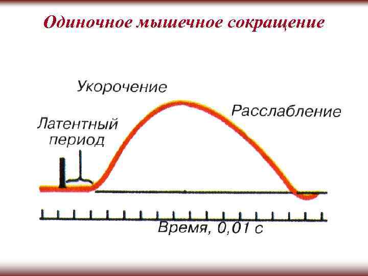 Нарушение мышечного сокращения