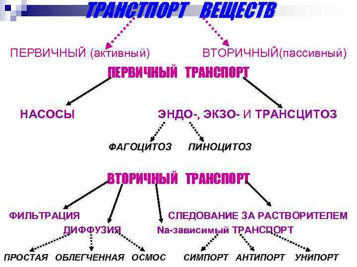 ТРАНСТПОРТ ВЕЩЕСТВ ПЕРВИЧНЫЙ (активный) ВТОРИЧНЫЙ(пассивный) ПЕРВИЧНЫЙ ТРАНСПОРТ НАСОСЫ ЭНДО-, ЭКЗО- И ТРАНСЦИТОЗ ФАГОЦИТОЗ ПИНОЦИТОЗ